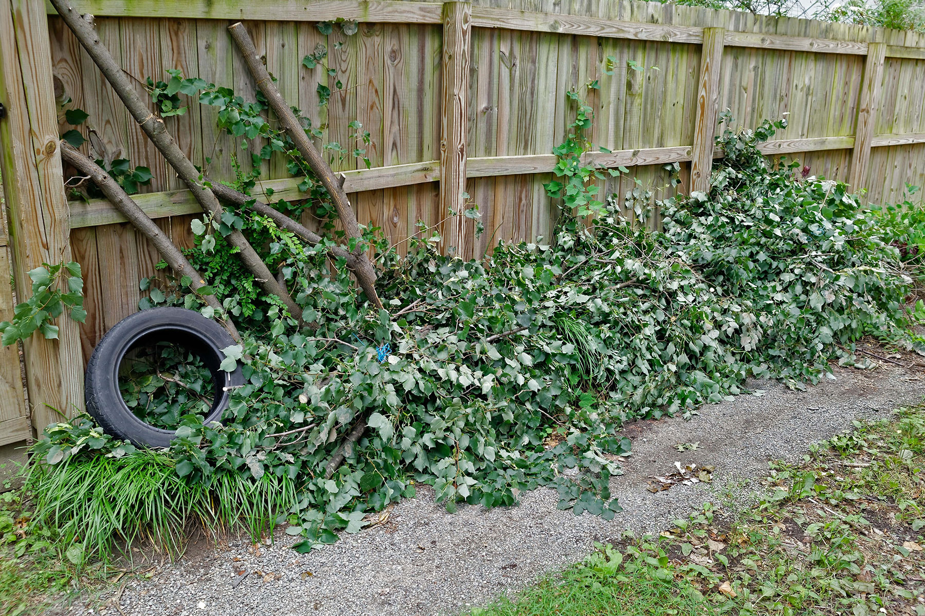 Yard Waste Removal | Mean Green Junk Removal | Denton, TX