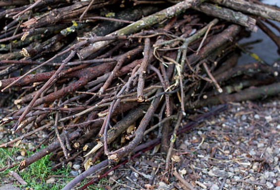 pile of sticks and branches in yard for yard debris removal services