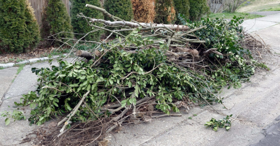 yard brush pile in yard for yard waste removal