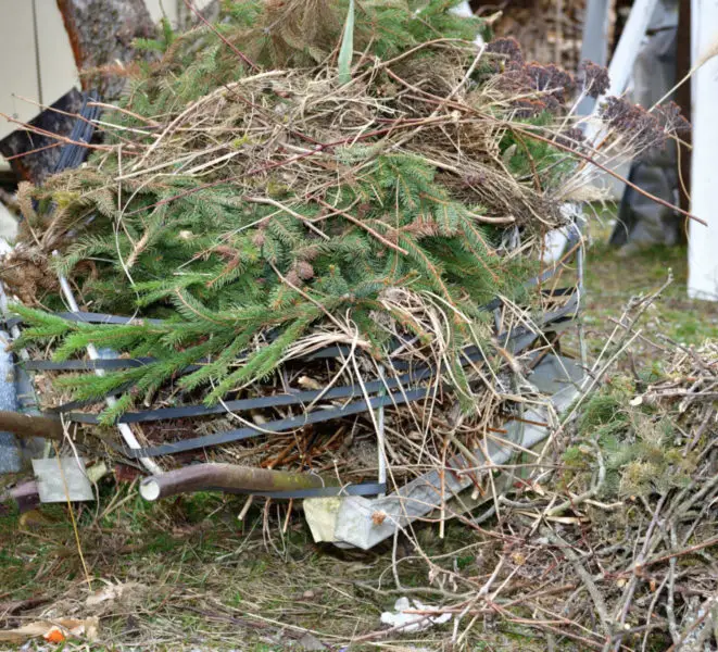 pile of yard brush in lawn to be cleared up