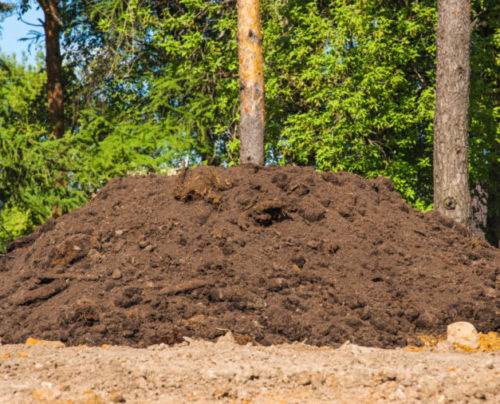 pile of dirt that needs dirt removal