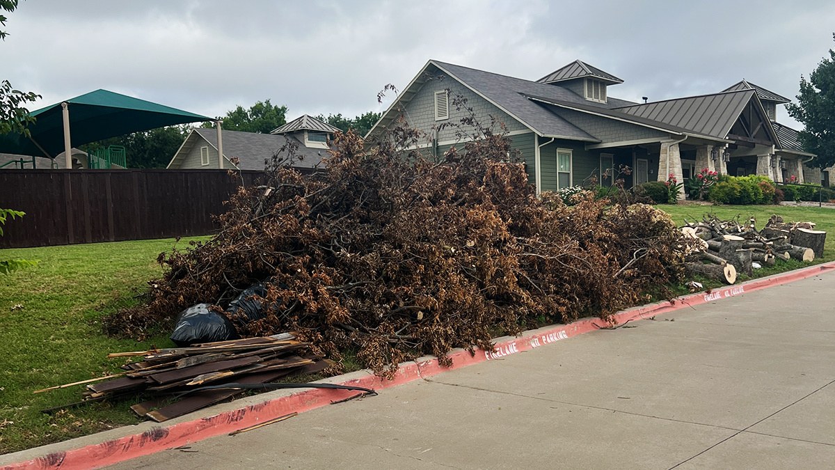 Eco-friendly Yard Waste Disposal: A Green Approach to Outdoor Cleanup