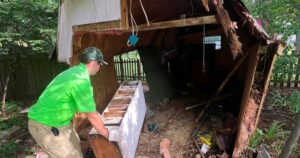 How to safely remove an old shed with Mean Green Junk Removal