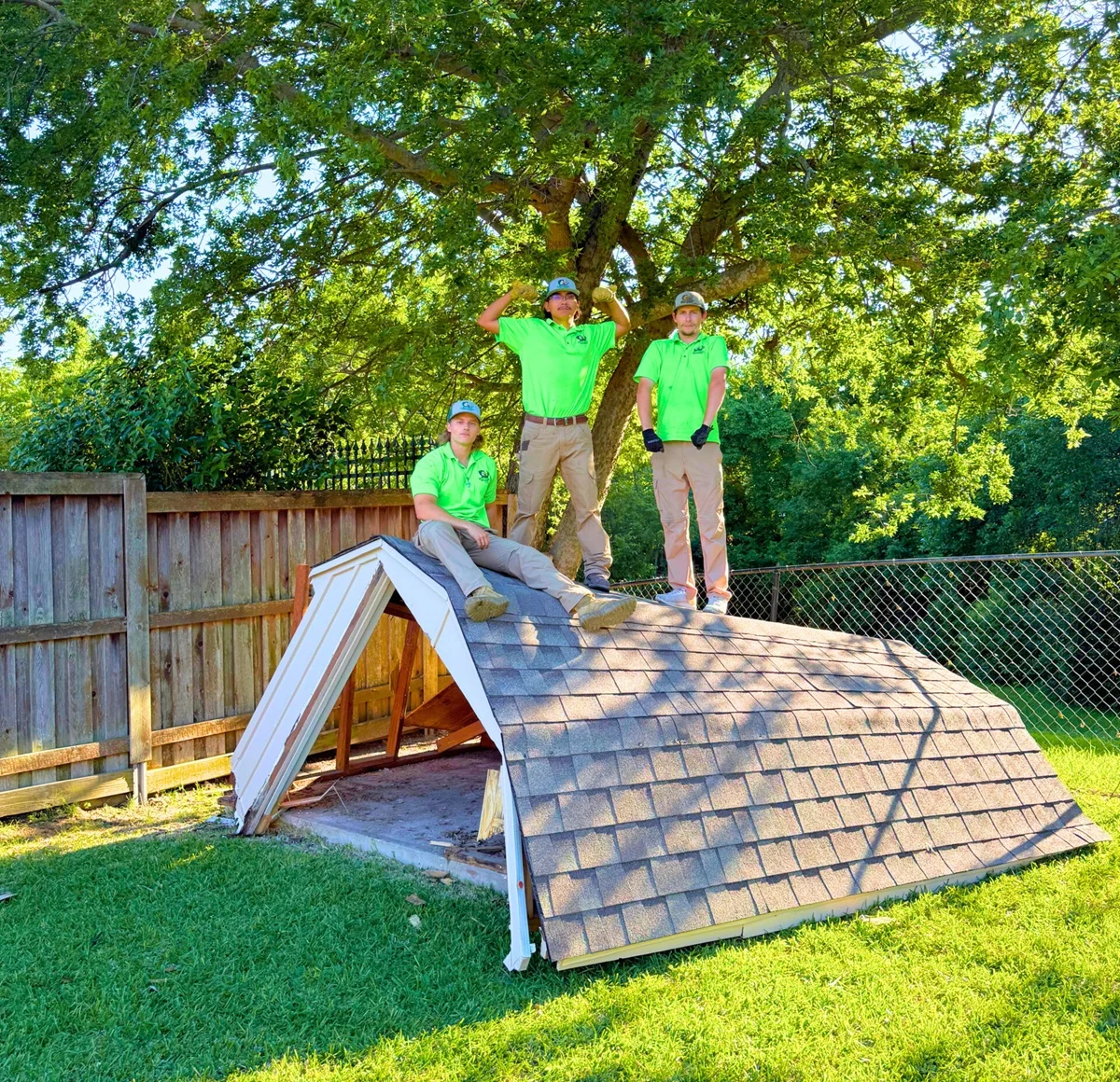 professional shed removal dfw